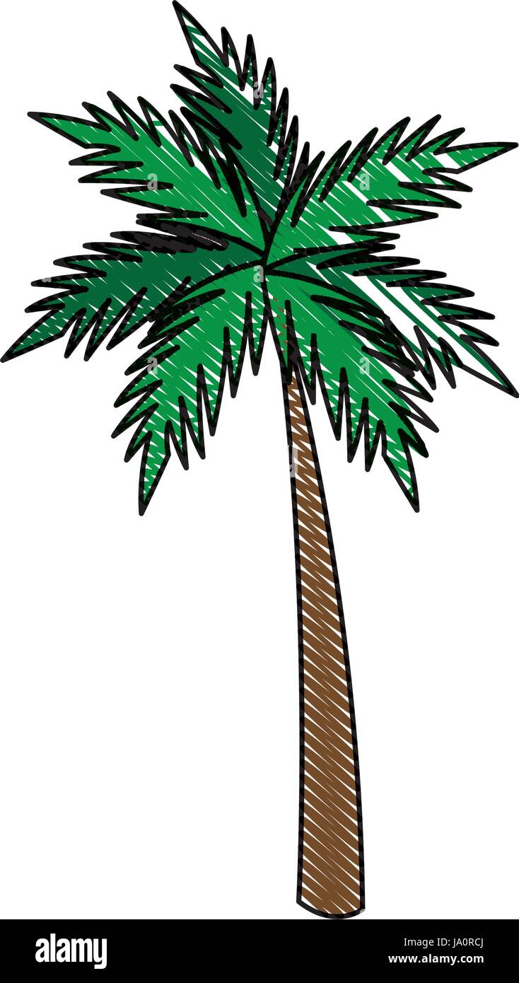 palm tropical tree beach plant image Stock Vector Image & Art - Alamy