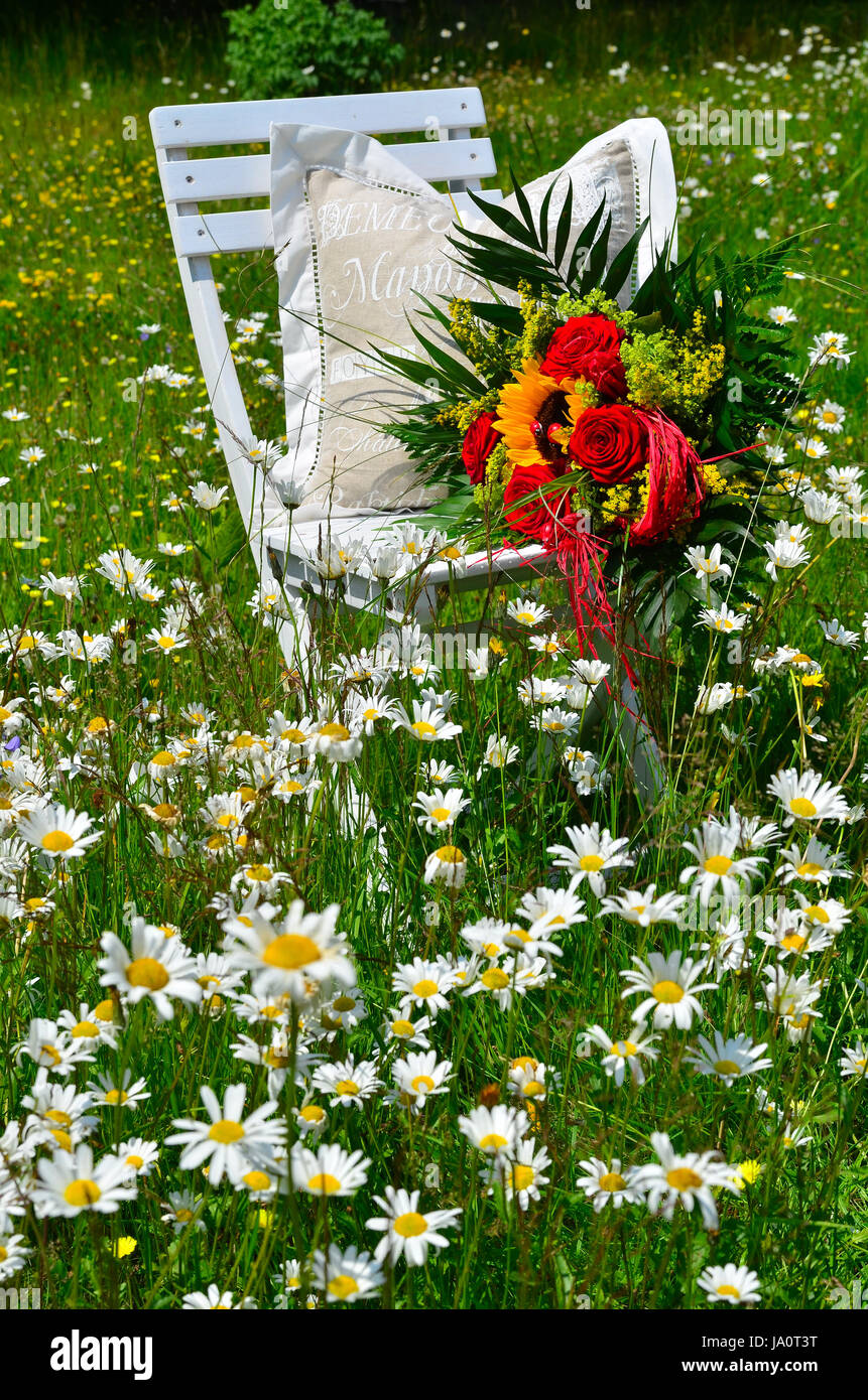garden chair flowers summer Stock Photo Alamy