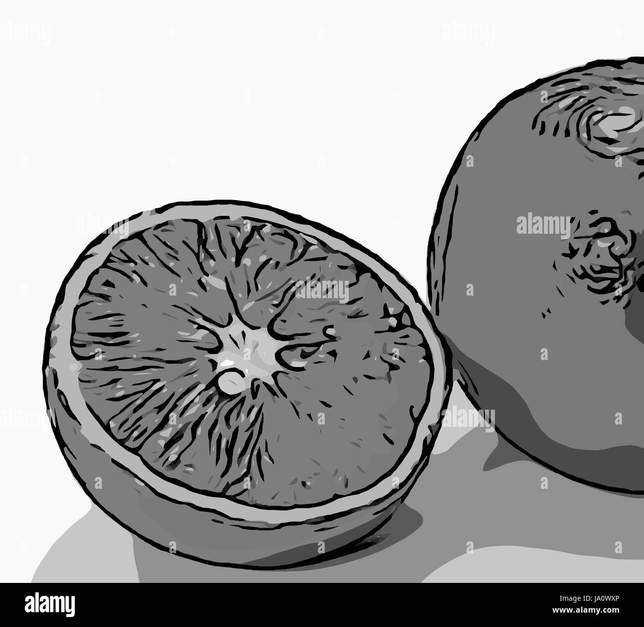 Orange fruit Black and White Stock Photos & Images - Alamy