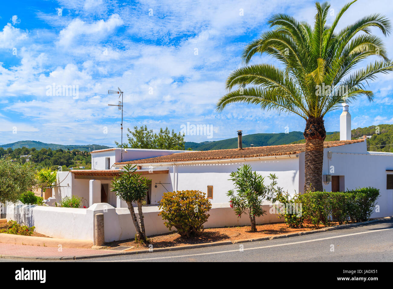 Typical white house with palm tree on side of a road in Sant Carles de Peralta village, Ibiza island, Spain Stock Photo
