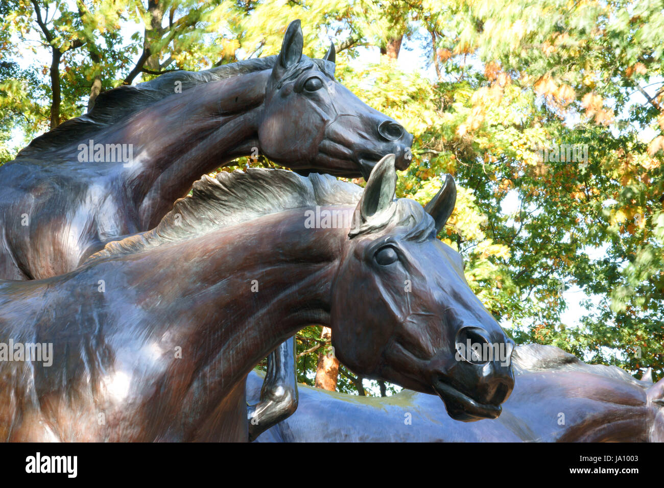 horse, horses, horse, freedom, liberty, wall, berlin, fall, one, that, Stock Photo