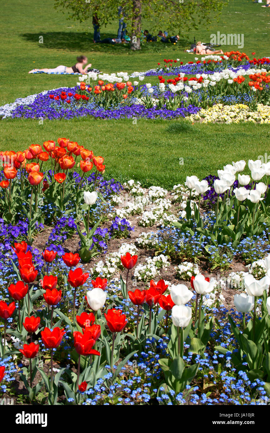 Frhjahrsblumen hires stock photography and images Alamy