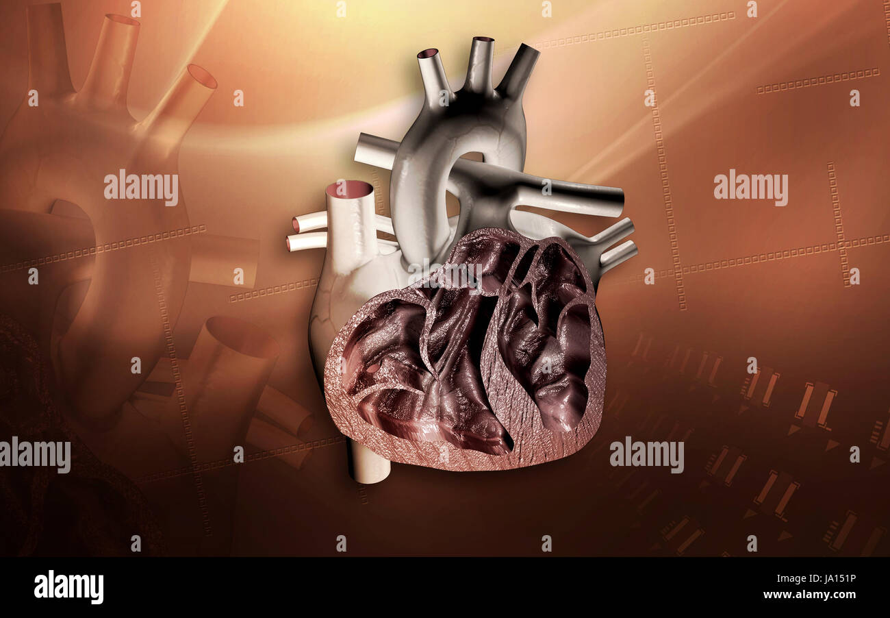 Circulation Graphics education, health, medicinally, medical, circulation, graphics, colour ...