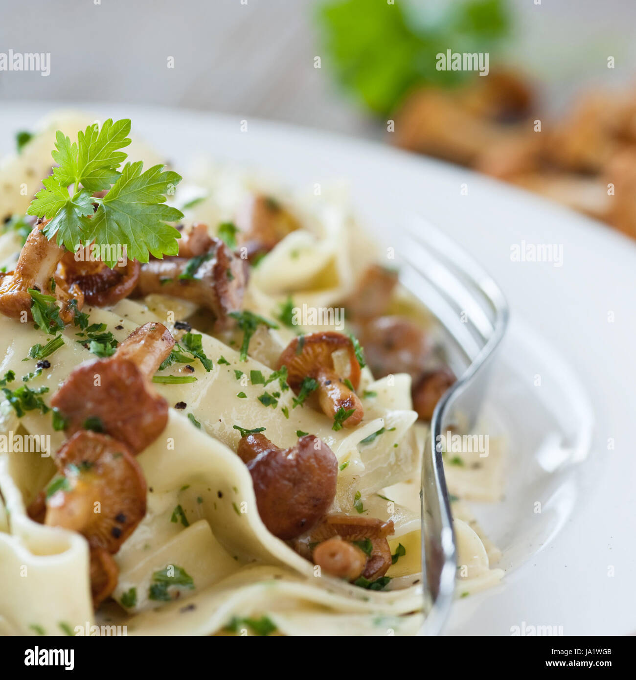 dough, noodles, chanterelles, flavour, plate, taste, dough, noodles