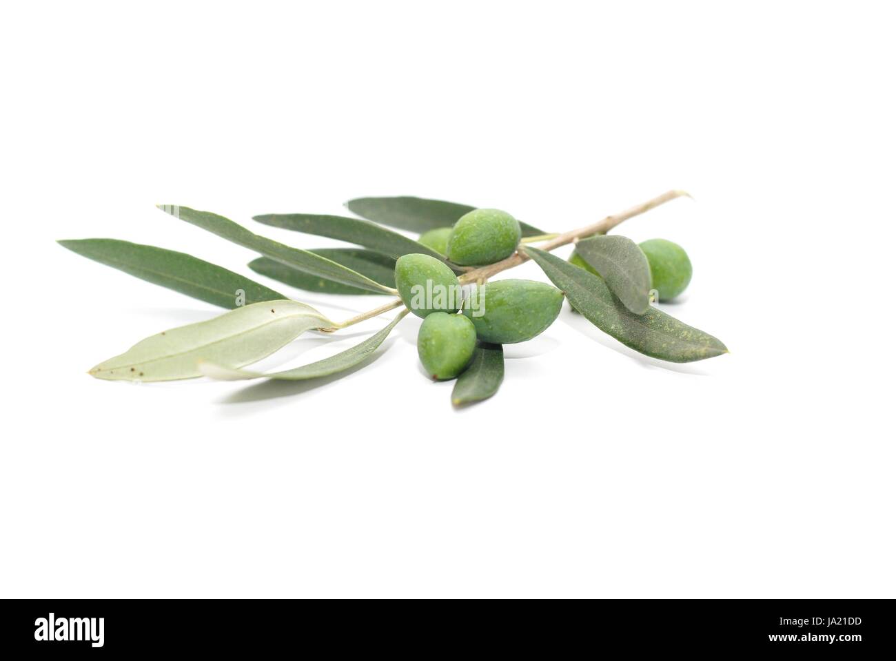 Olive tree fruits Cut Out Stock Images & Pictures - Alamy