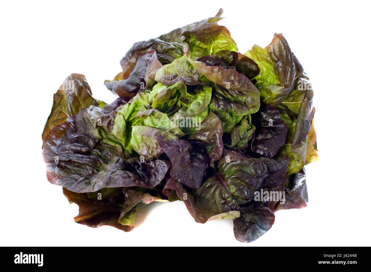 food, aliment, vegetable, salad, red, freshness, studio, raw, lettuce, Stock Photo