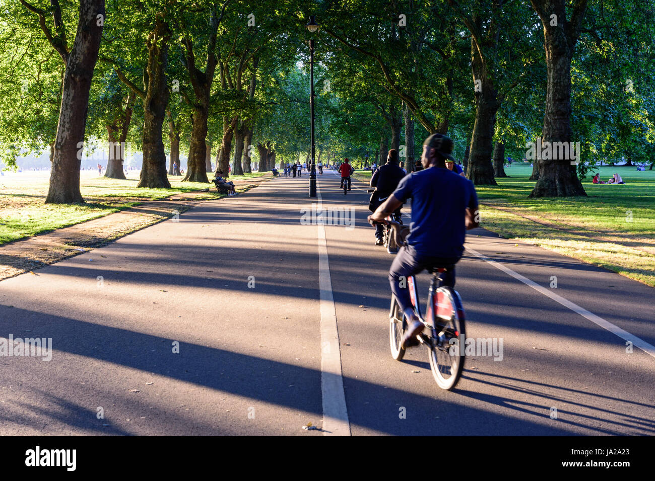 London, England - July 19, 2016: Cyclists riding 'Boris Bike' city hire bikes ride along the Broadwalk avenue in Hyde Park. Stock Photo