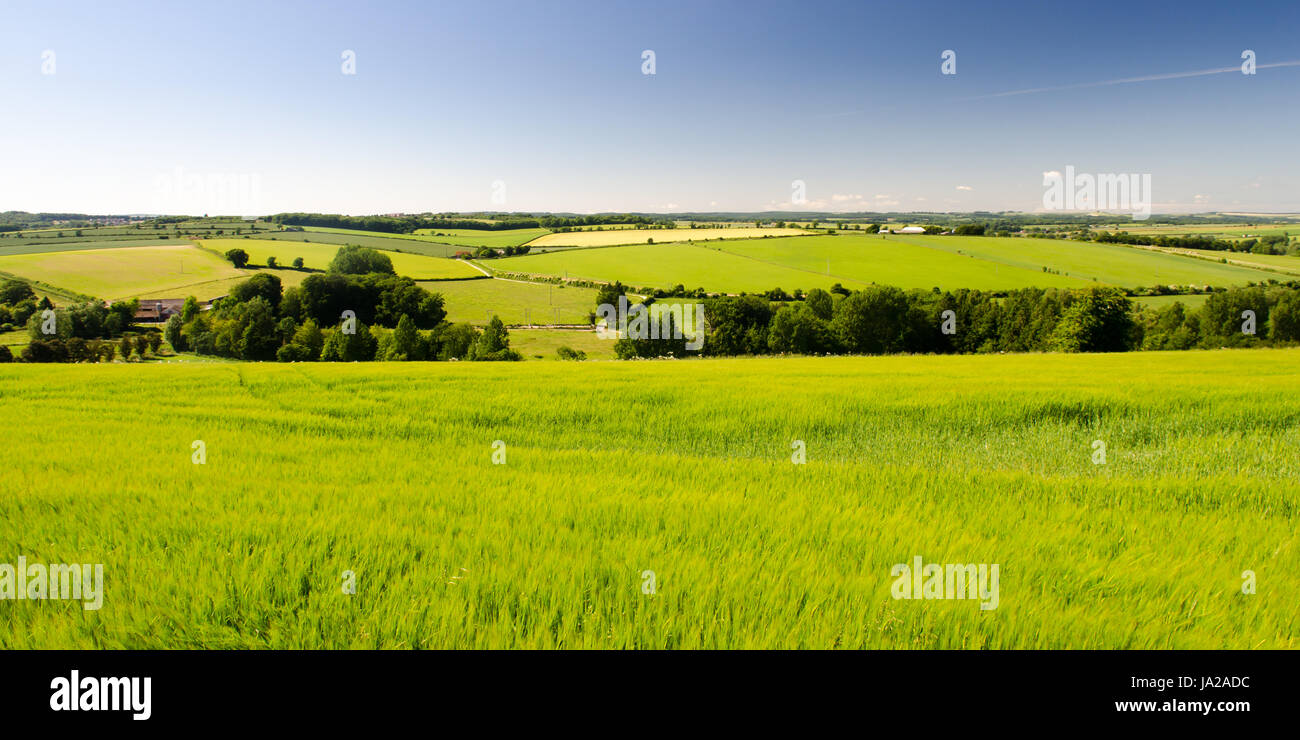 Agricultural fields and chalk downland around the sparsely populated Tarrant Valley in England's Dorset Downs hills. Stock Photo