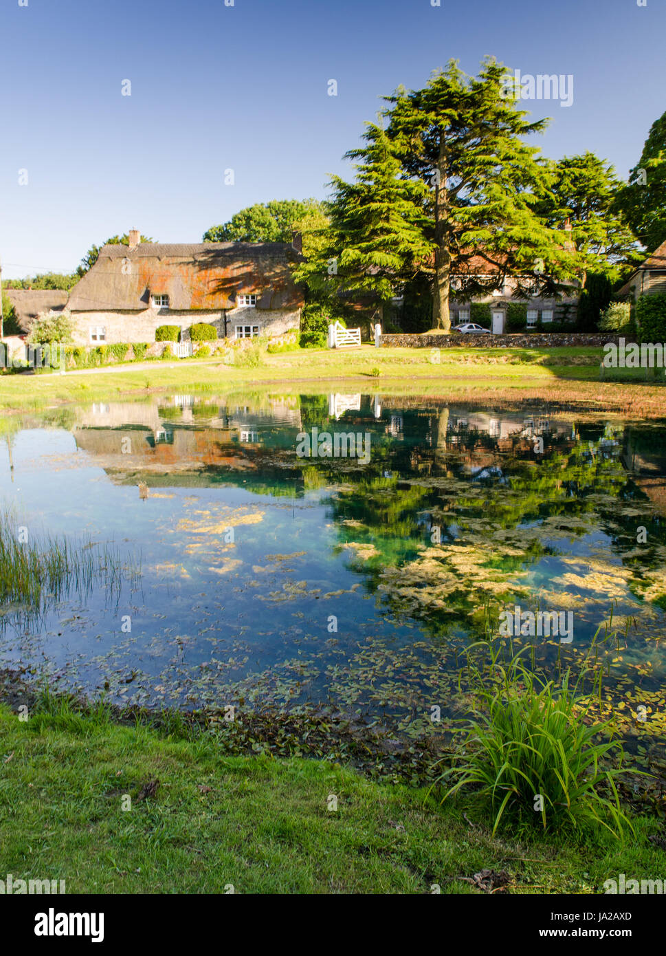 Traditional thatched cottages are reflected in the dew pond in the English village of Ashmore, Dorset. Stock Photo