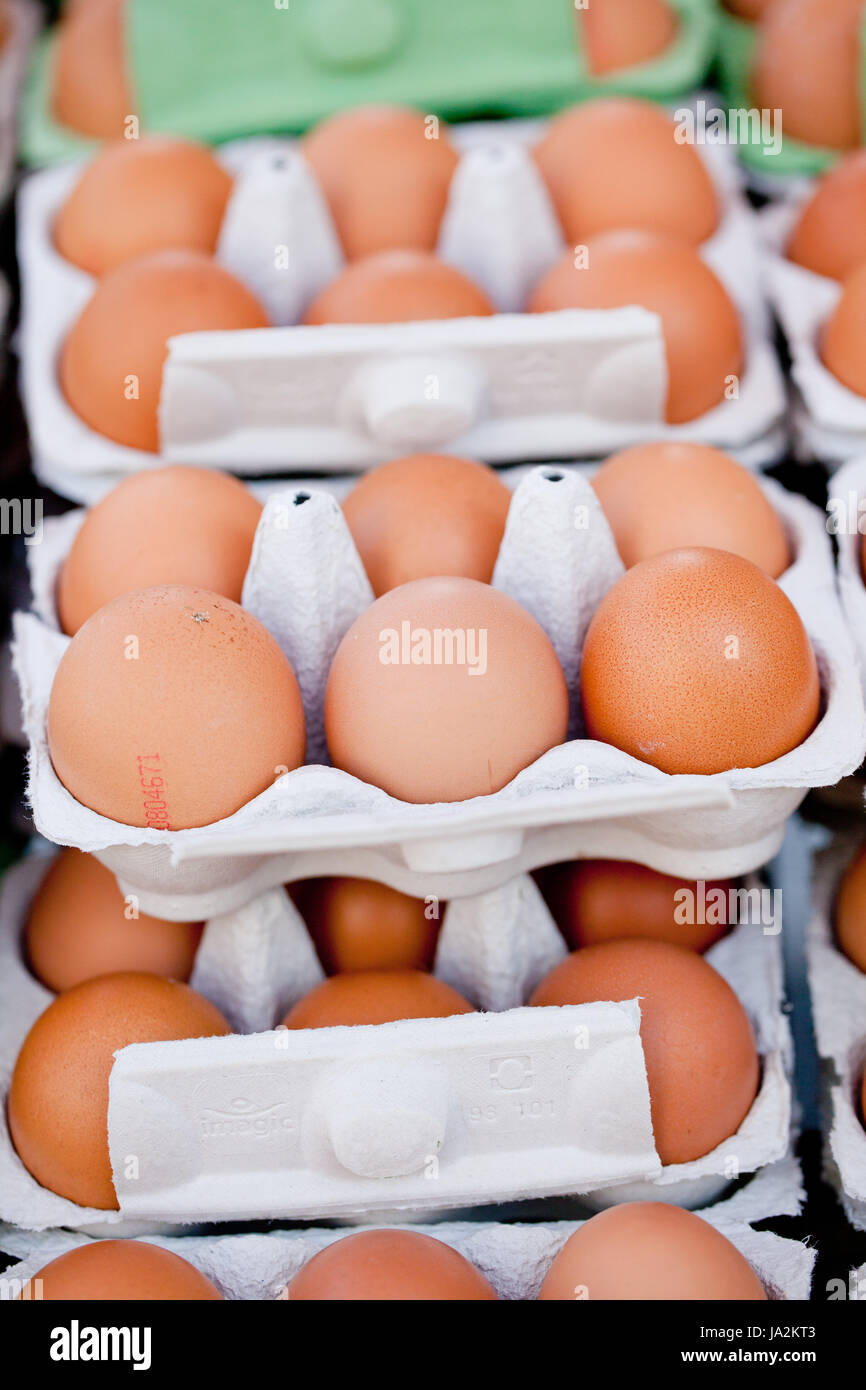 easter, egg, chicken, eggs, clutch, protein, cardboard, carton, food