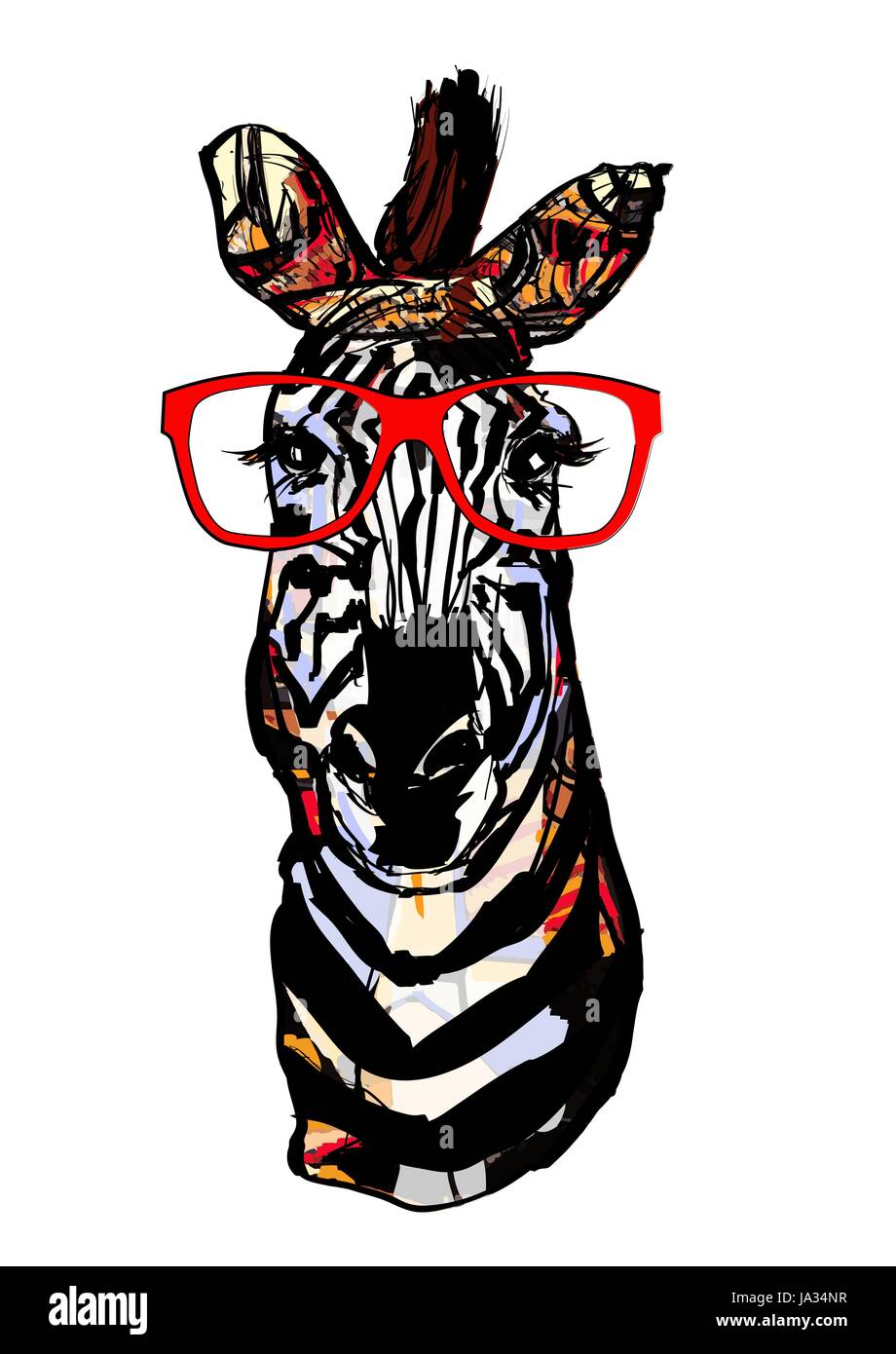 Zebra with sunglasses - Vector illustration Stock Vector Image & Art - Alamy