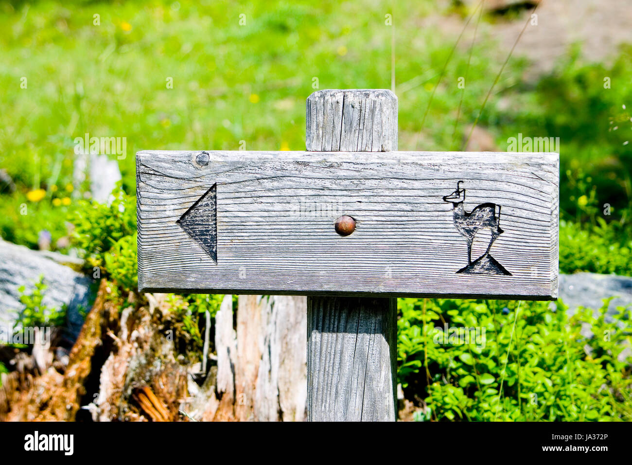 park, signpost, national, deer, sign, arrow, red, travel, sport, sports ...