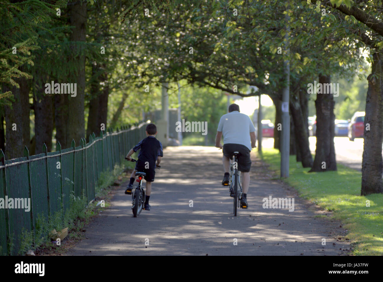 father and son cycle on bikes on path tree lined Stock Photo