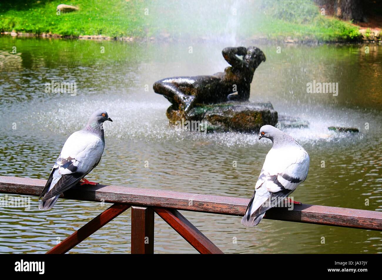 bird, sculpture, birds, summer, summerly, railing, fresh water, pond, water, Stock Photo