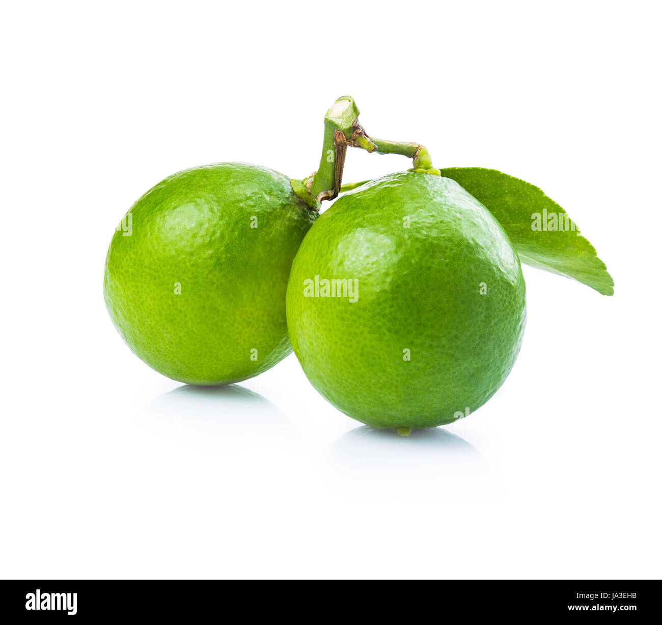 two whole fresh green limes on isolated white background Stock Photo Alamy