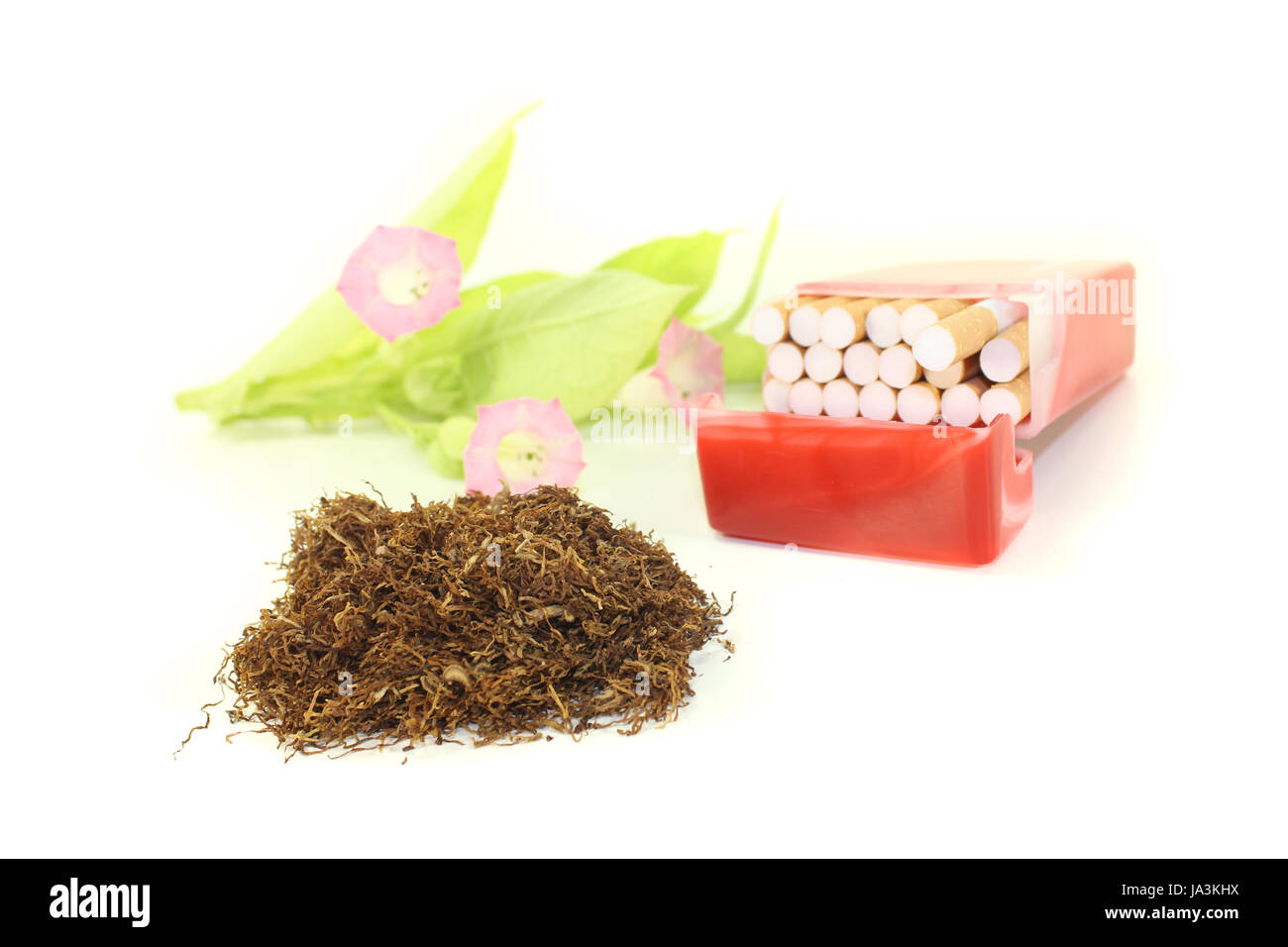 leaf, tobacco, cigarettes, cultivation of tobacco, leaf, culture, green