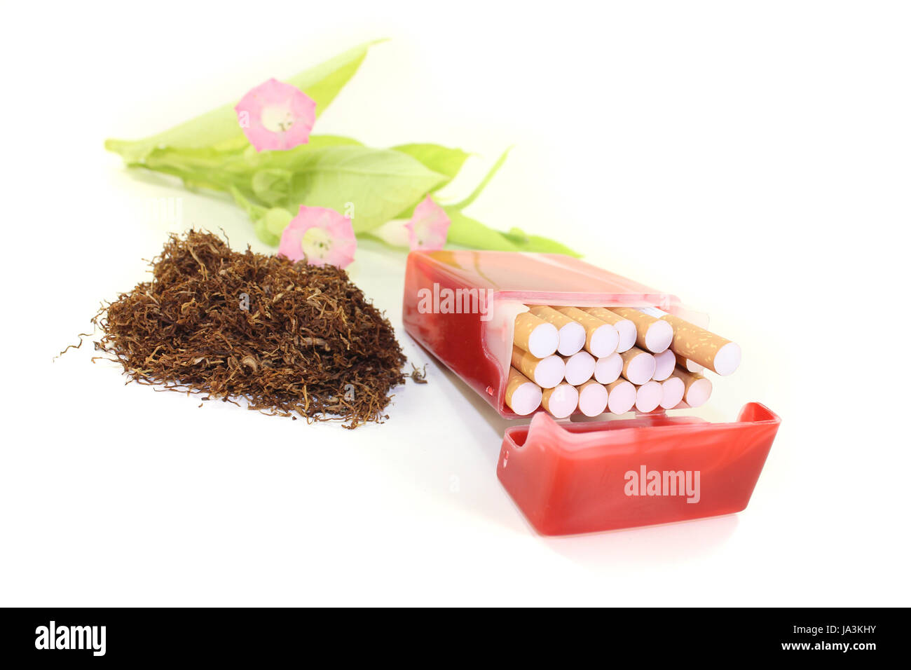 leaf, tobacco, cigarettes, cultivation of tobacco, leaf, culture, green