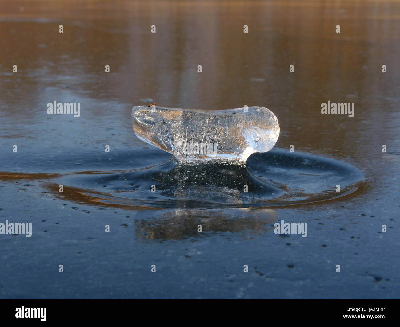 winter, cold, ice, frost, frozen, icy, drop, drip, drops, seeping ...