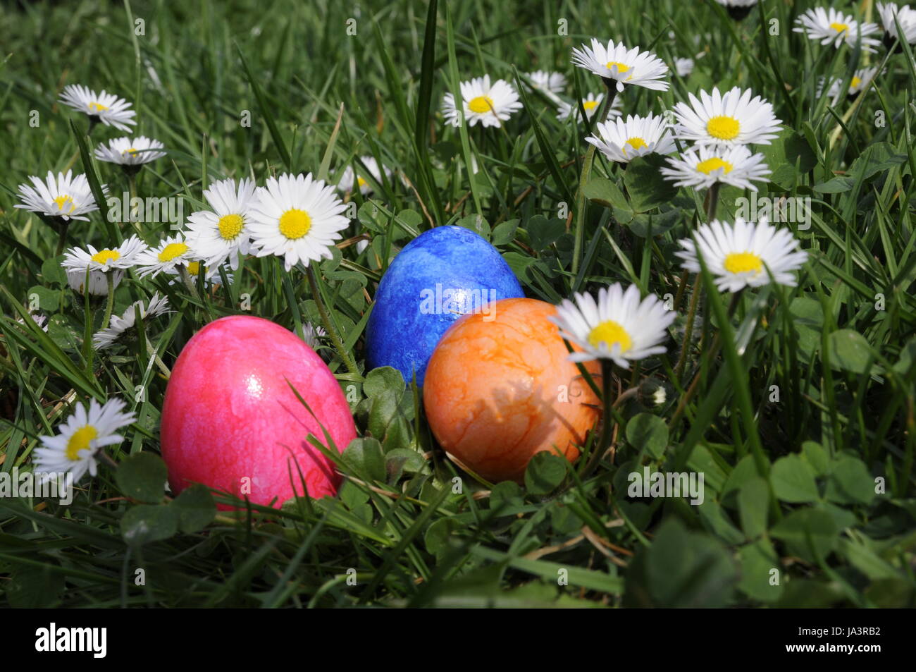 coloured, colourful, gorgeous, multifarious, richly coloured, easter, easter Stock Photo