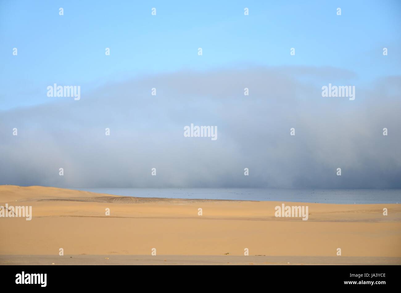 desert, wasteland, africa, namibia, fog, atlantic ocean, salt water, sea, Stock Photo