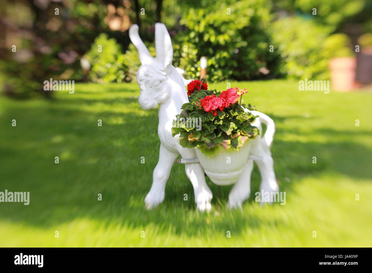 garden, flower, flowers, plant, decor, donkey, gardens, garden, flower, Stock Photo