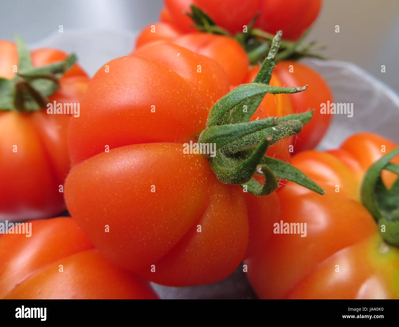 tomato - costoluto fiorentino Stock Photo - Alamy