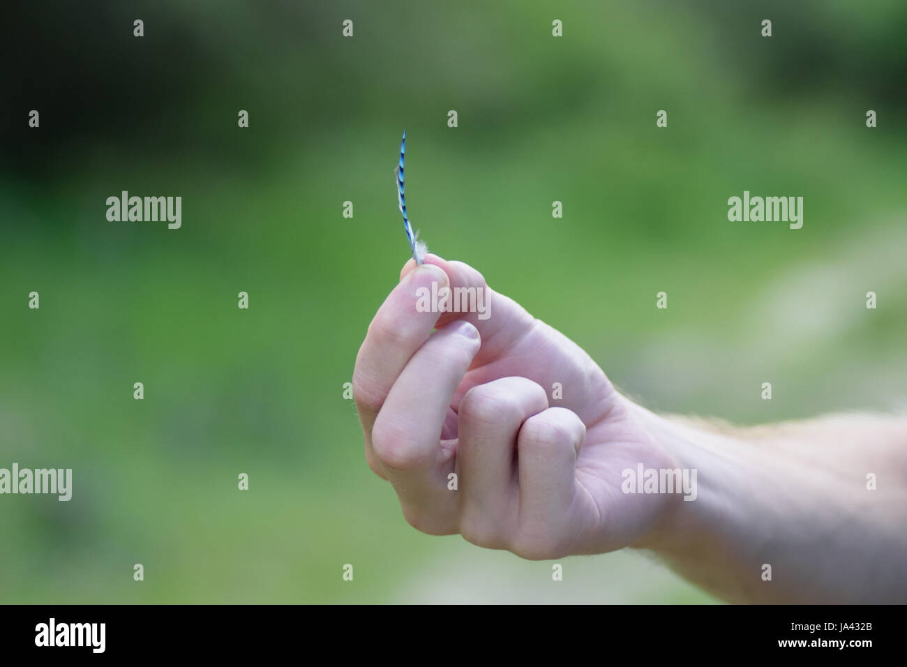 Man holding a bird feather Stock Photo