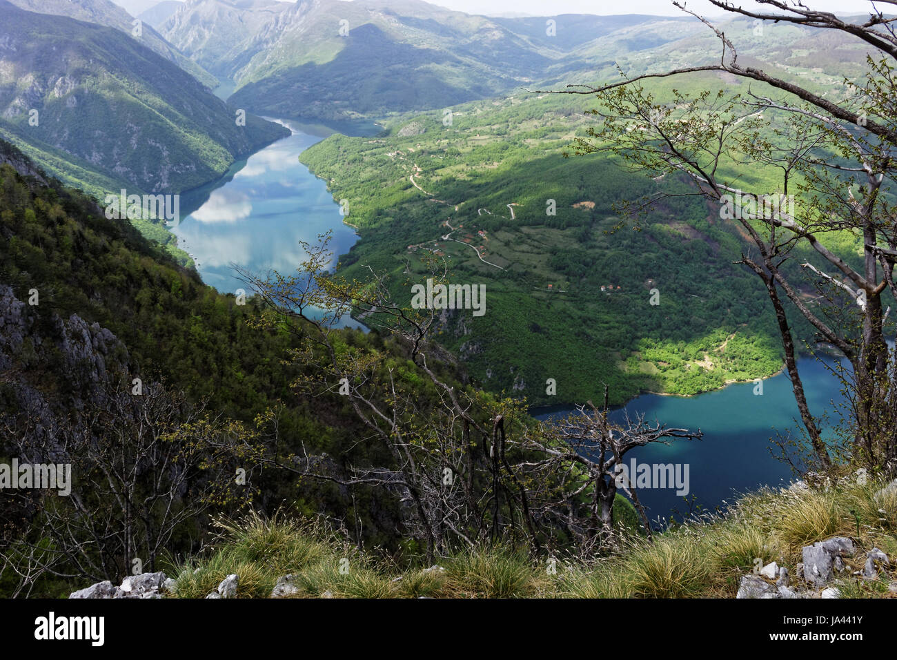 Tara national park western hi-res stock photography and images - Alamy