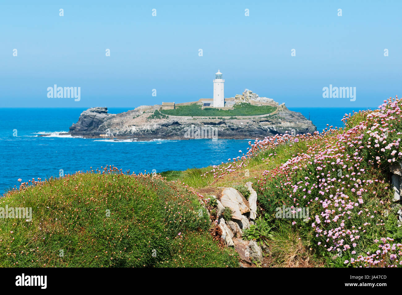 spring flowers on the coast near godrevy lighthouse in cornwall, england, britain, uk Stock Photo