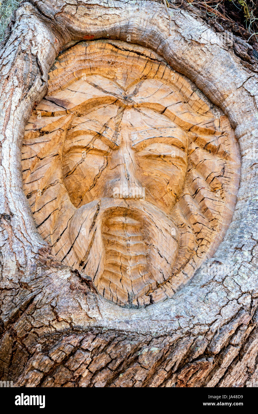 St. Simons Island Tree Spirit, Mallery Park, St. Simons Island,