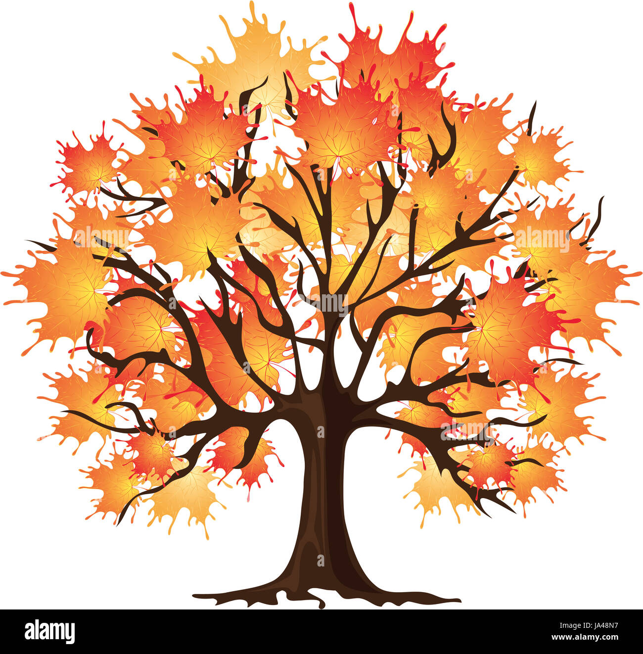 Art autumn tree. Maple Stock Photo Alamy