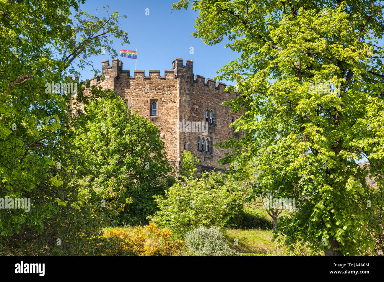 The old keep of Durham Castle, now part of Durham University, surrounded by trees in full leaf. Stock Photo