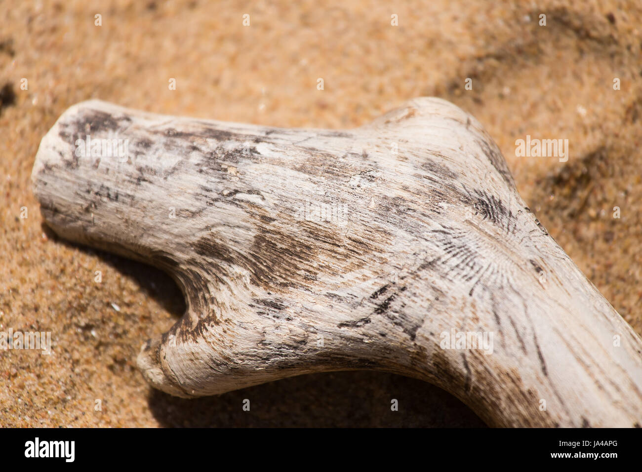An abstract background of a sea sand and rock shapes. Shallow depth of field. Stock Photo