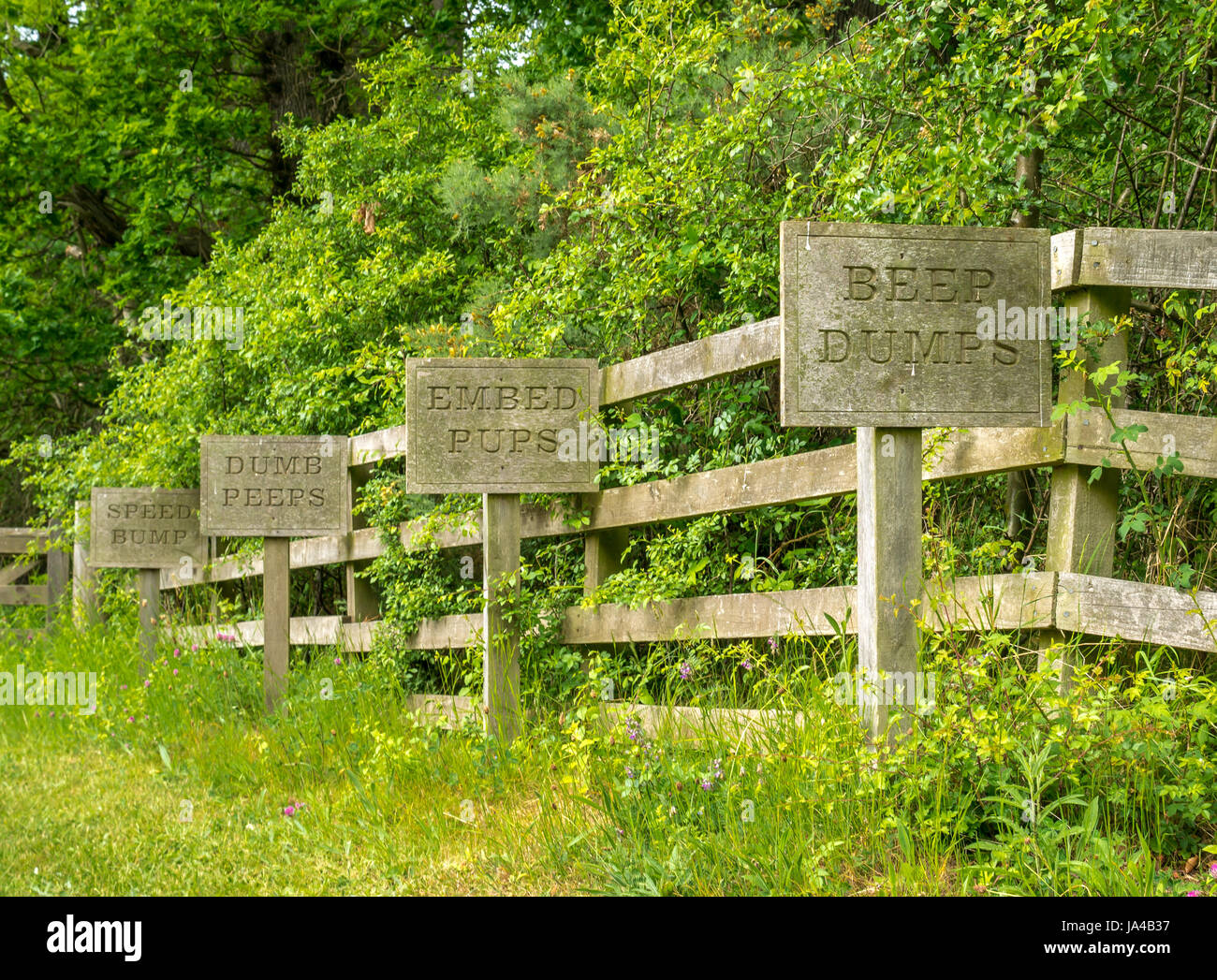 Quirky picturesque wooden signs with anagrams of words speed bumps at Broadwoodside, Gifford, East Lothian, Scotland, UK Stock Photo