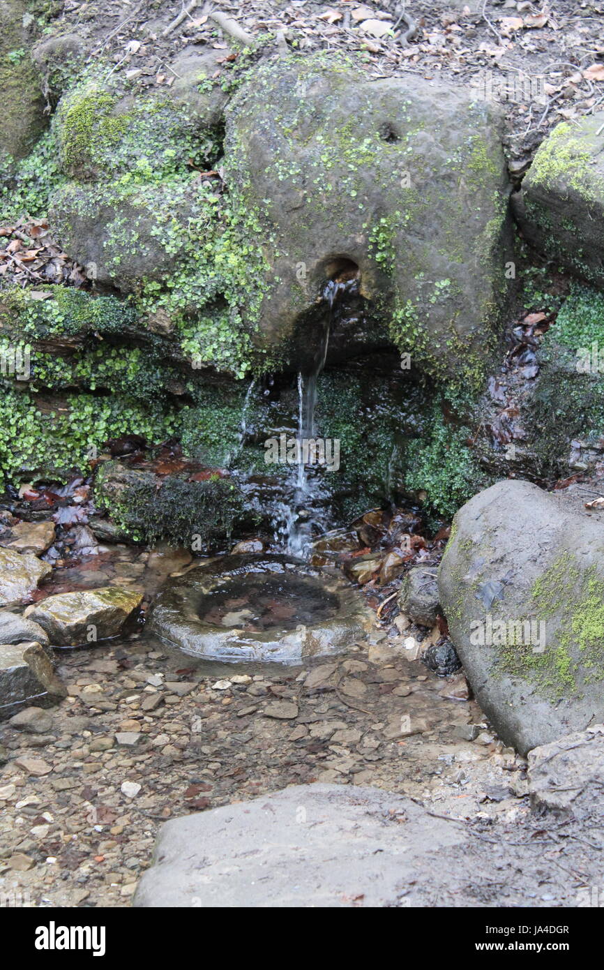 Roundhay Park Gorge Stock Photo