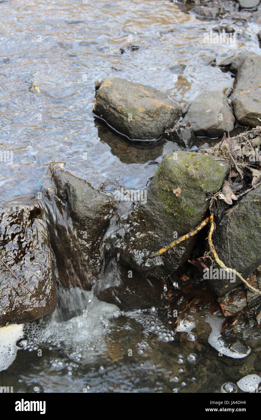 Roundhay Park Gorge Stock Photo