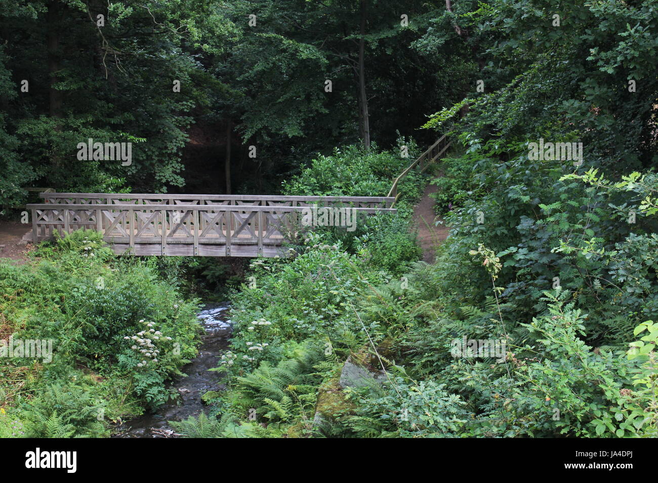 Roundhay Lake Stock Photo