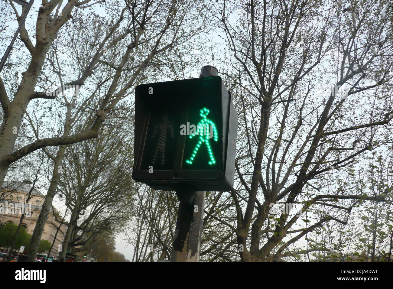 Traffic lights Stock Photo