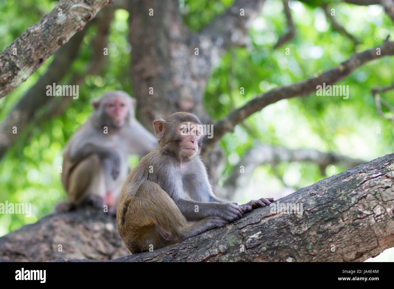 Under adult supervision hi-res stock photography and images - Alamy