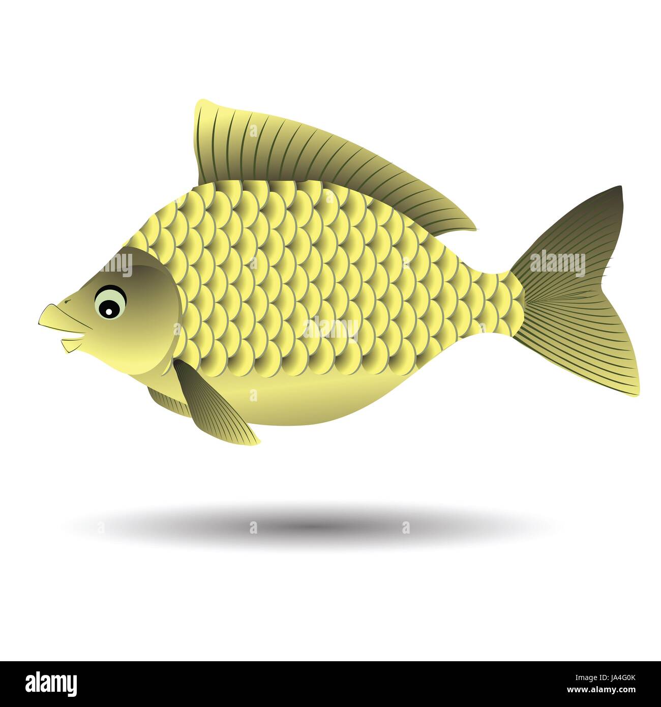 Colorful fish illustration hi-res stock photography and images - Alamy