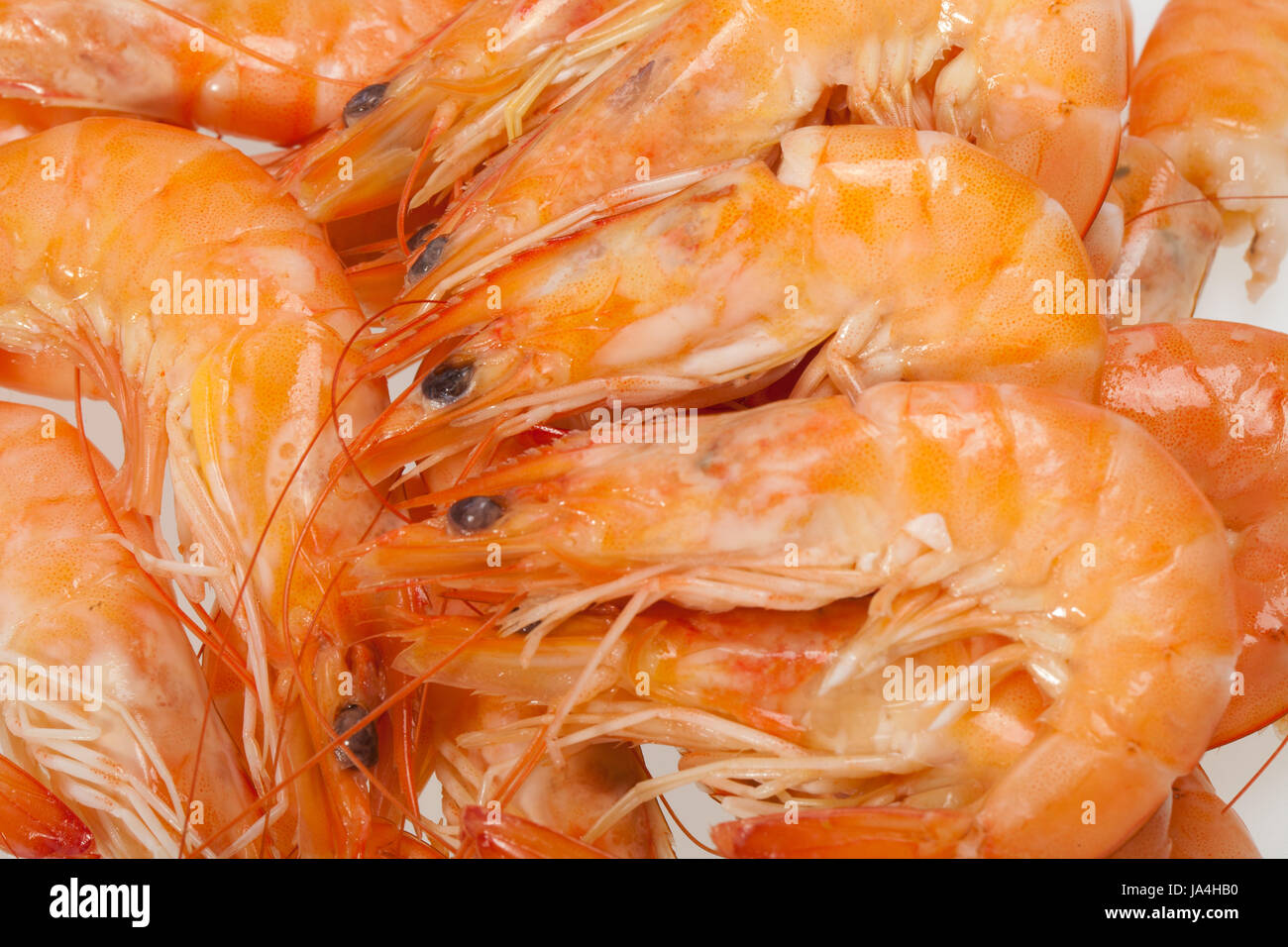 shrimp, seafood, restaurant, food, aliment, isolated, gastronomy, stock