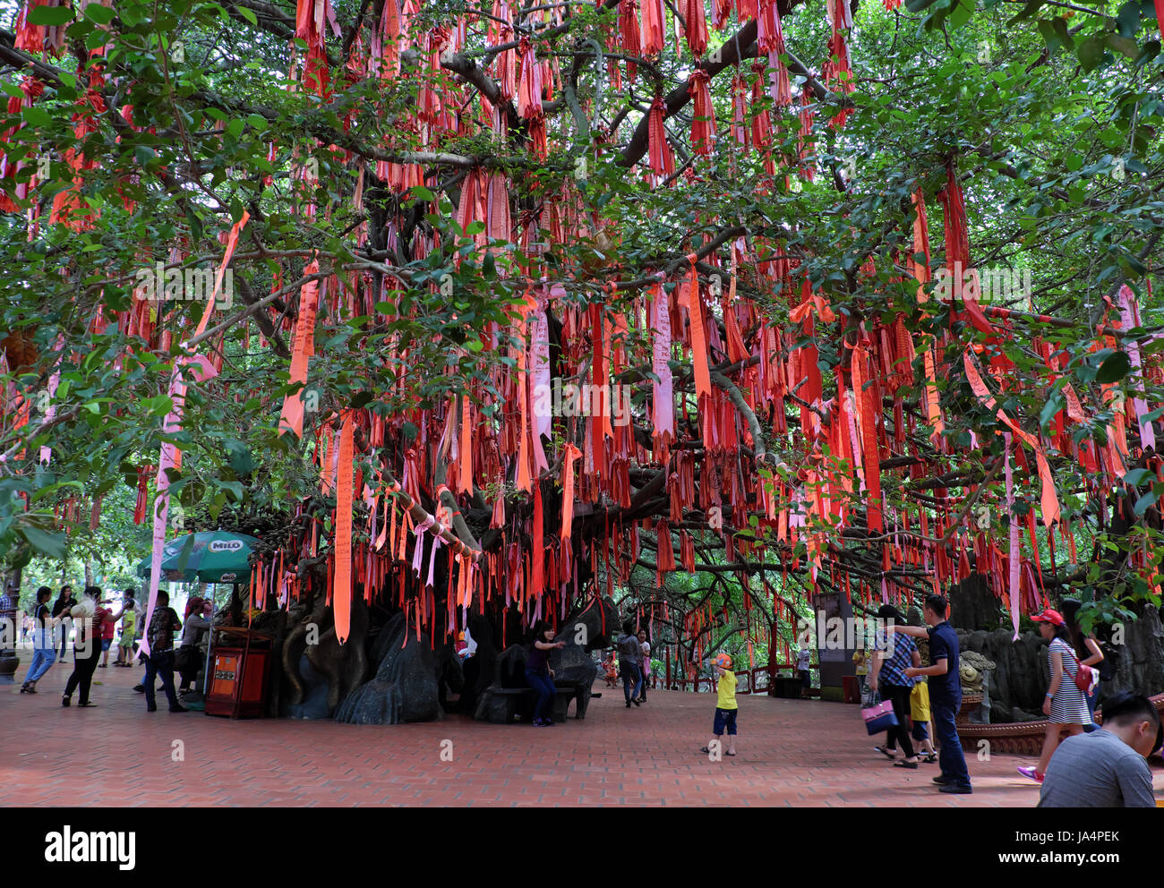 HO CHI MINH CITY, VIET NAM- JUNE 1, 2017: People hang red ribbons on love tree at Suoi Tien tourist area, place for cultural travel, Vietnam Stock Photo