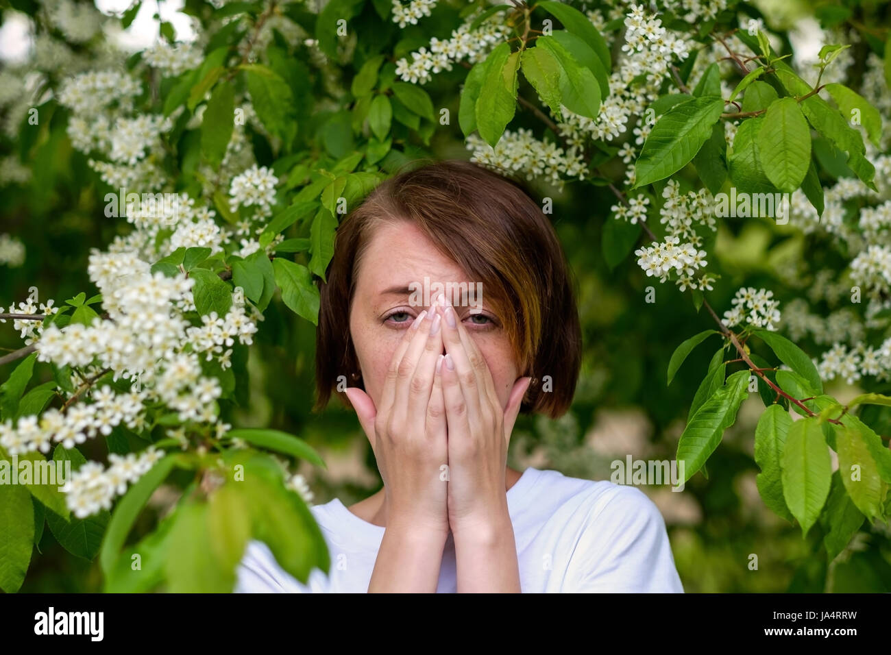 A beautiful girl stands by the blossoming bird cherry and sneezes. She suffers from an allergy to flowering in the spring. Stock Photo