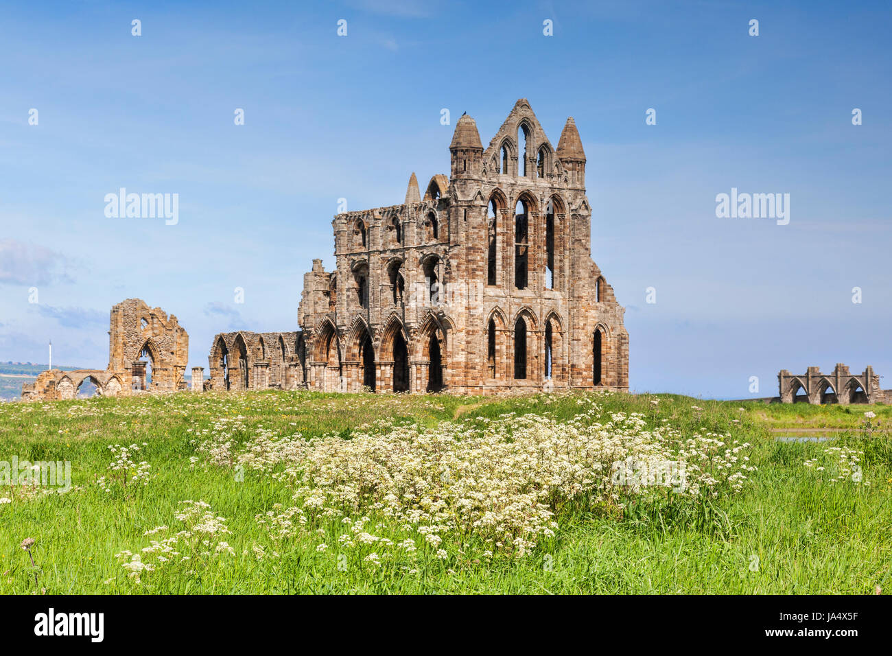 Whitby Abbey, North Yorkshire on a beautiful sunny spring day, with cow parsley in the foreground. Stock Photo