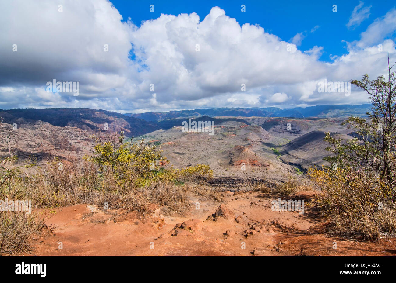 Kauai Hawaii scenic Waimea Canyon State Park red cliffs from above canyon Stock Photo