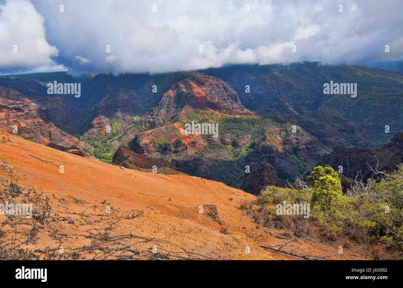 Kauai Hawaii scenic Waimea Canyon State Park red cliffs from above canyon Stock Photo