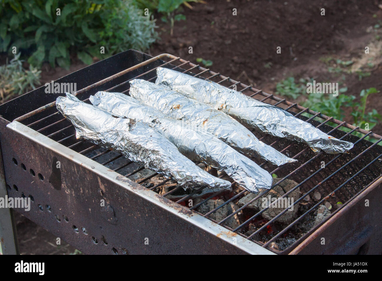 preparation of fish in foil on a grill Stock Photo - Alamy
