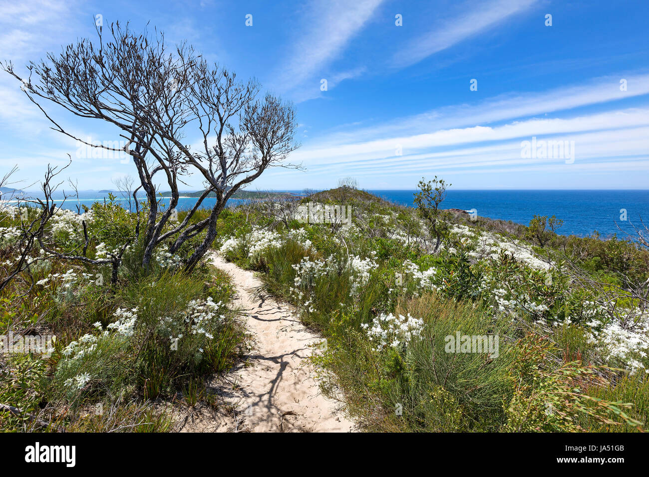 Landscape in Fingal Bay, Australia. Stock Photo