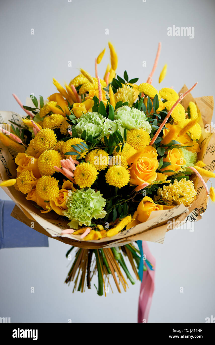 Chrysanthemum santini limoncello hires stock photography and images