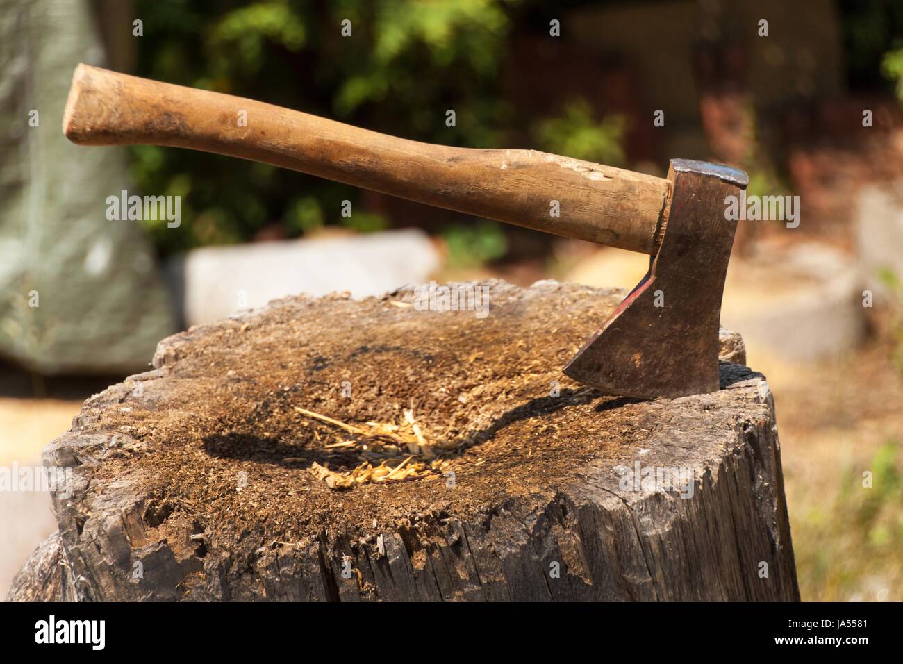 Axe in stump. Axe ready for cutting timber.Woodworking tool. Lumberjack
